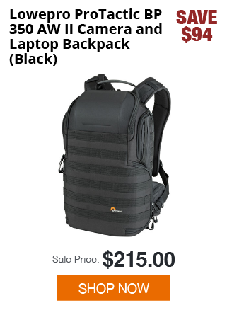 Lowepro Protactic BP 350 AW II