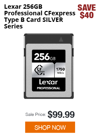 Lexar 256GB Pro Memory Card