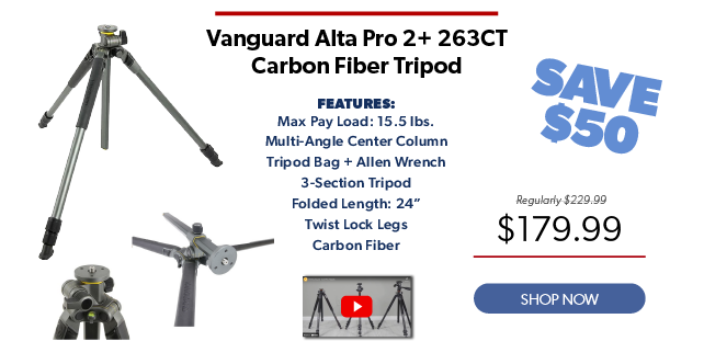 Vanguard Alta Pro 2 Carbon