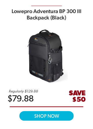 Lowepro Adventura BP 300 III