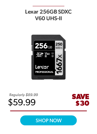 Lexar 256GB SDXC