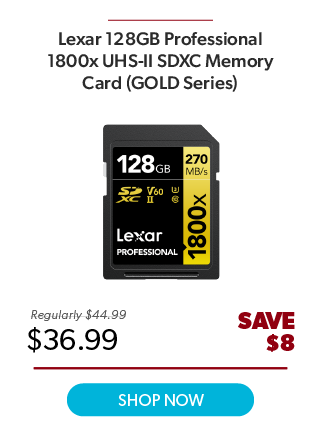 Lexar 128GB Gold