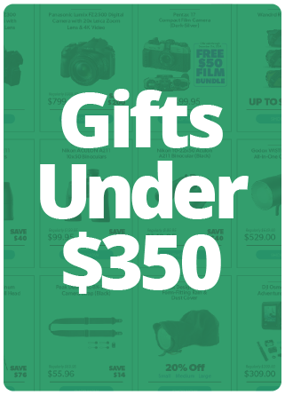 Gifts Under $350