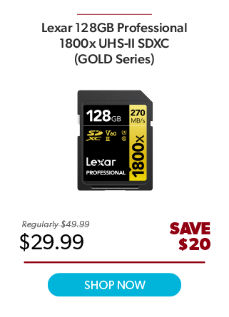 Lexar 128GB Pro Gold Series