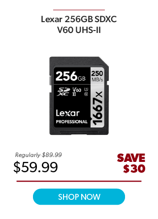 Lexar 256GB V60