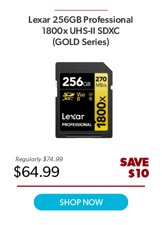 Lexar 256GB Pro Gold