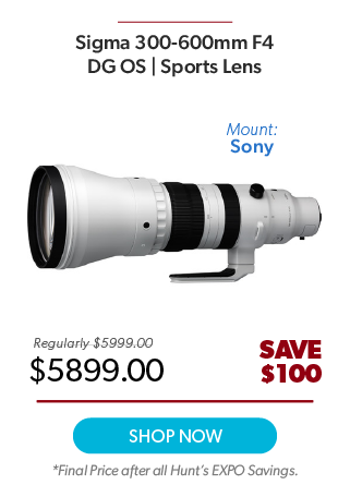 Sigma 300-600mm F4 Sony