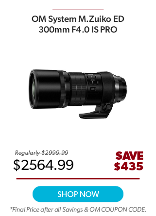 OM System 300mm F4 IS Pro