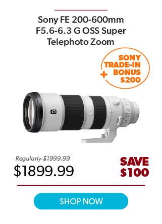Sony FE 200-600mm Zoom Lens