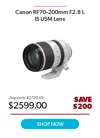 Canon RF70-200mm F2.8 L