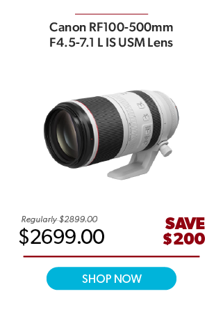 Canon RF100-500mm Lens