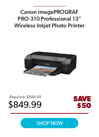 Canon Pro-310